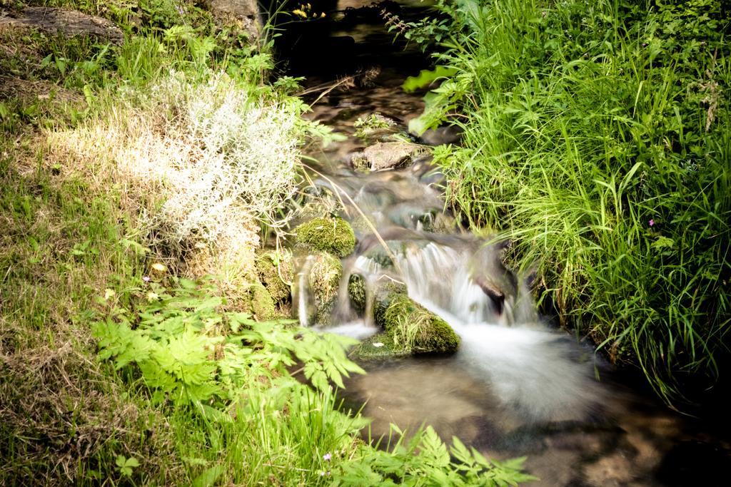 Auberge Du Moulin De Lere Vailly Eksteriør billede